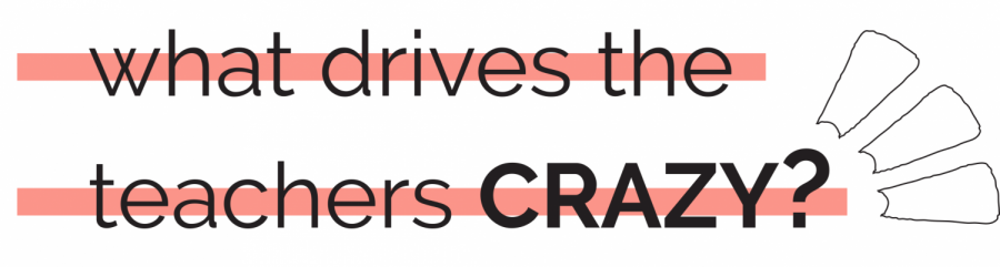 What+Drives+the+Teachers+Crazy%3F