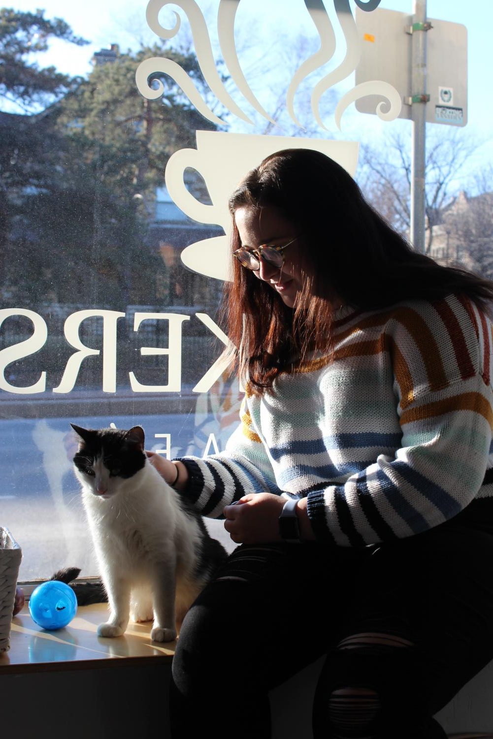 Whiskers Cat Cafe