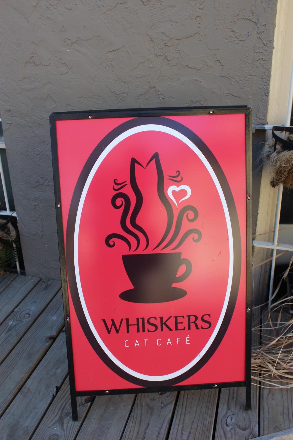 Whiskers Cat Cafe